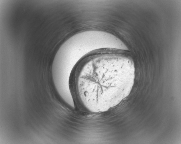 X0000068890172200606021929