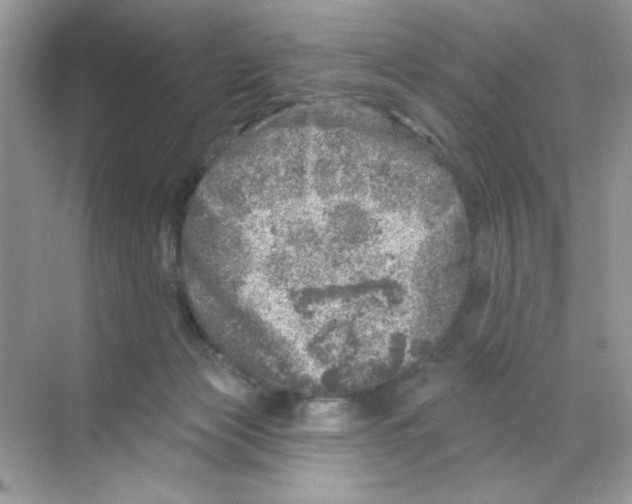 X0000068890173200606021929