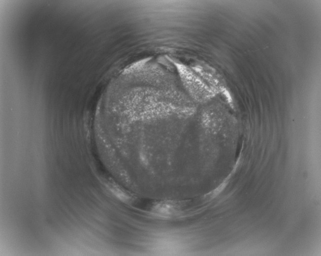 X0000068890174200606021929