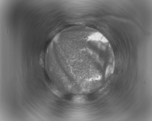 X0000068890175200606021929