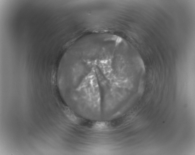 X0000068890177200606021929