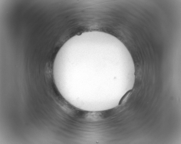 X0000068890179200606021929