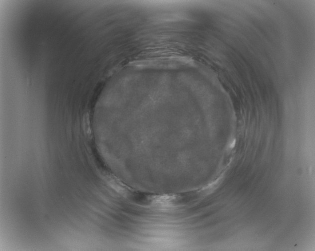 X0000068890182200606021929