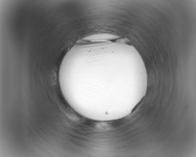 X0000068890183200606021929