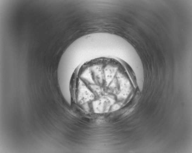 X0000068890184200606021929