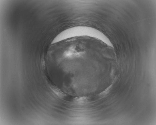 X0000068890186200606021929