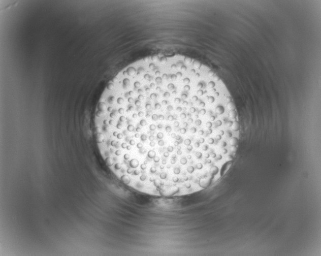 X0000068890187200606021929