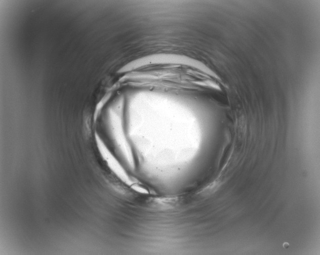 X0000068890188200606021929