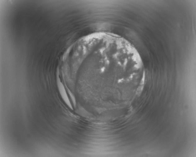 X0000068890189200606021929