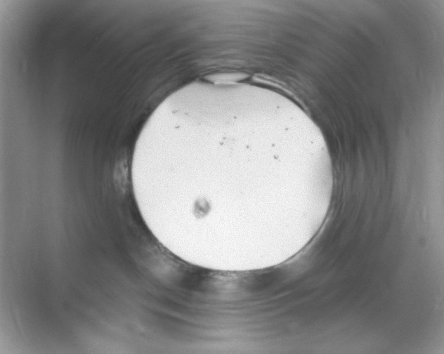 X0000068890190200606021929