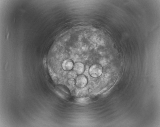 X0000068890191200606021929