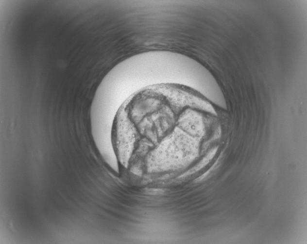 X0000068890192200606021929