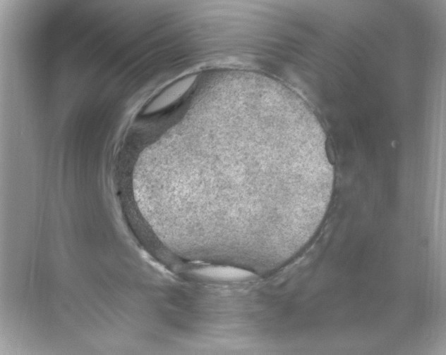 X0000068890193200606021928