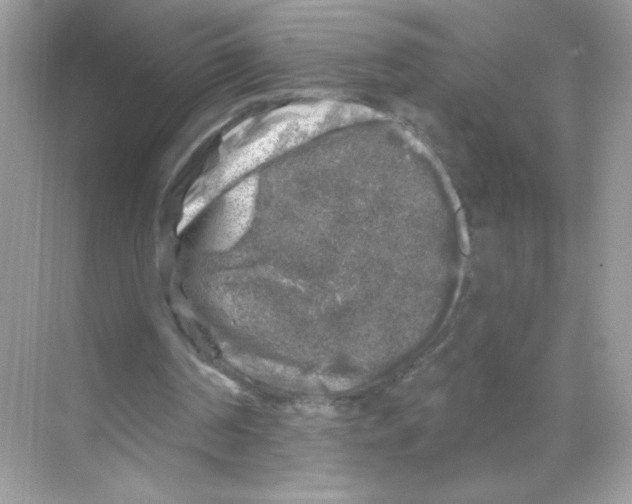 X0000068890194200606021928