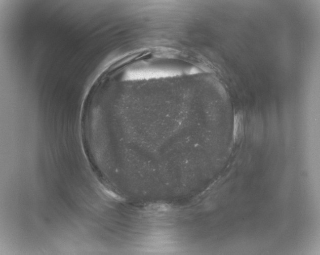 X0000068890195200606021928