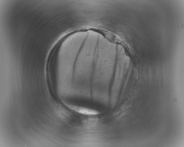 X0000068890196200606021928