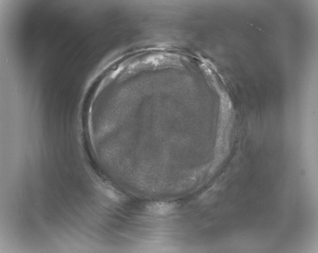 X0000068890198200606021928