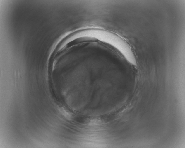 X0000068890200200606021928