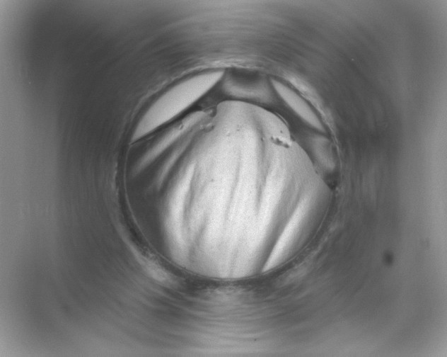 X0000068890201200606021928