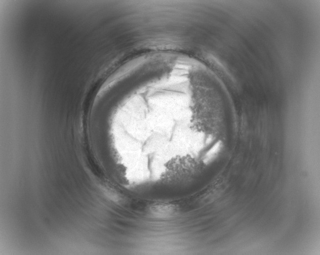 X0000068890202200606021928