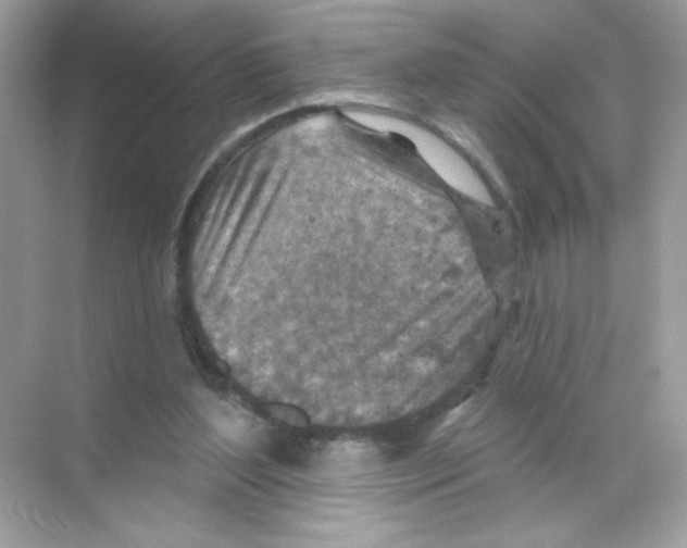 X0000068890204200606021928