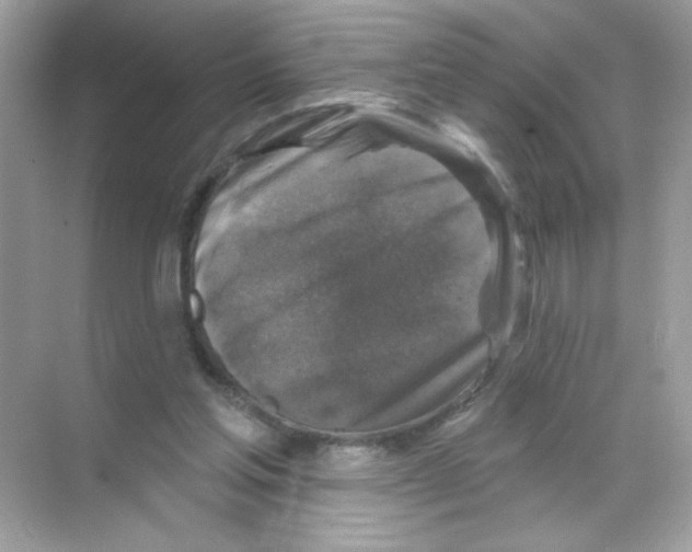 X0000068890205200606021928