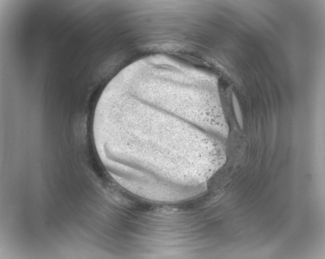 X0000068890206200606021928