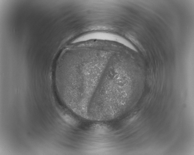 X0000068890207200606021928