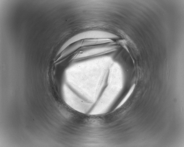 X0000068890209200606021928