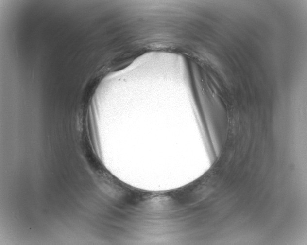 X0000068890210200606021928