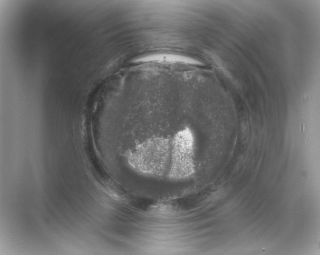 X0000068890211200606021928