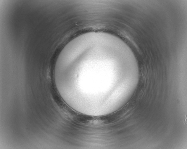 X0000068890212200606021928