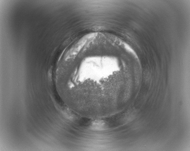 X0000068890214200606021928