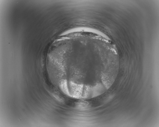 X0000068890215200606021928