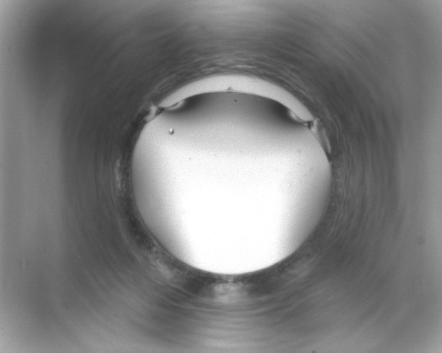 X0000068890216200606021928