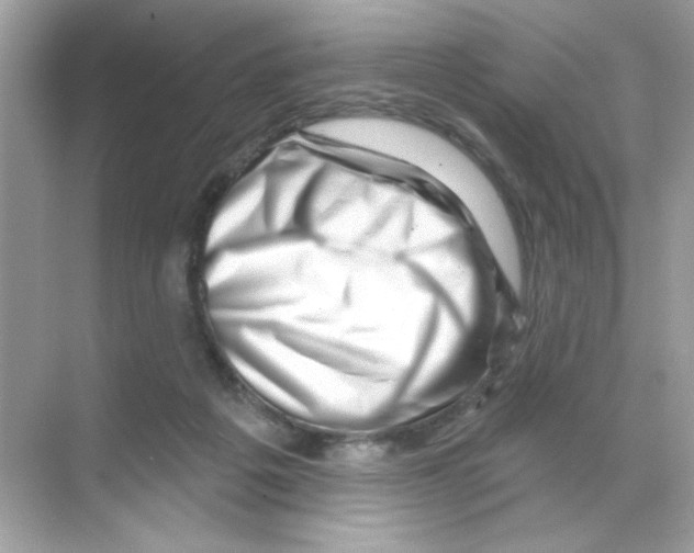 X0000068890217200606021928