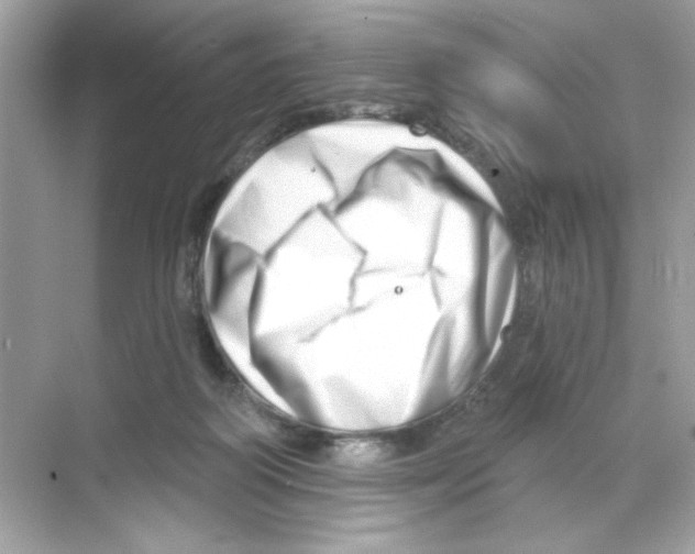 X0000068890218200606021928