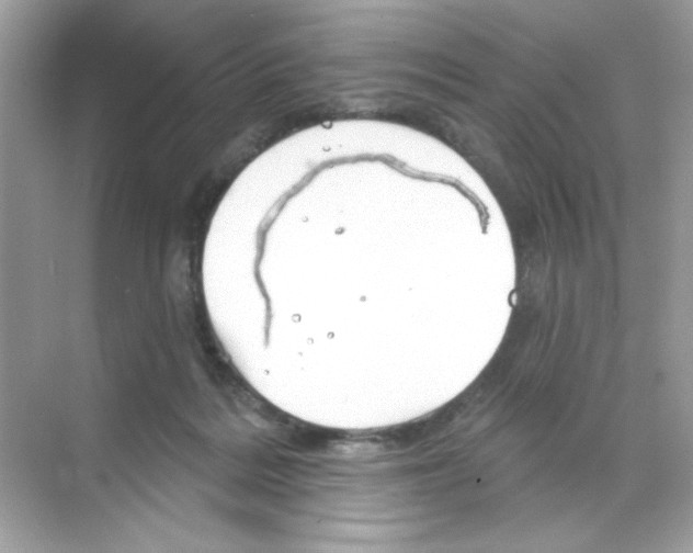 X0000068890220200606021928