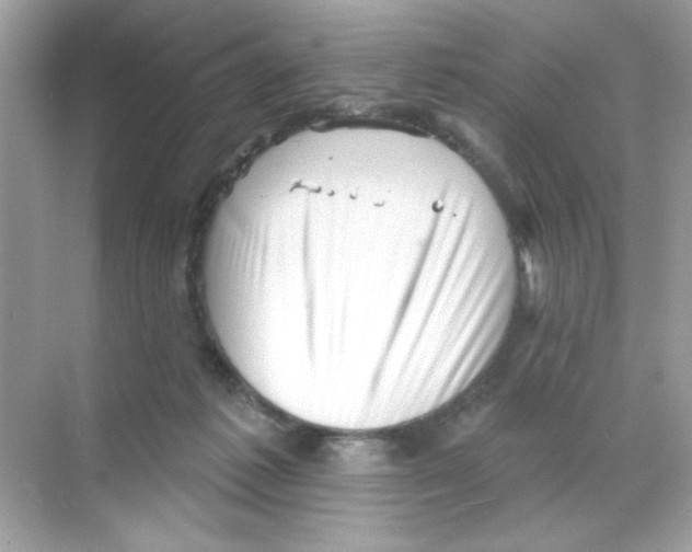 X0000068890221200606021928