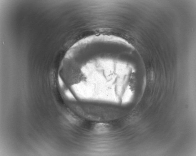 X0000068890222200606021928