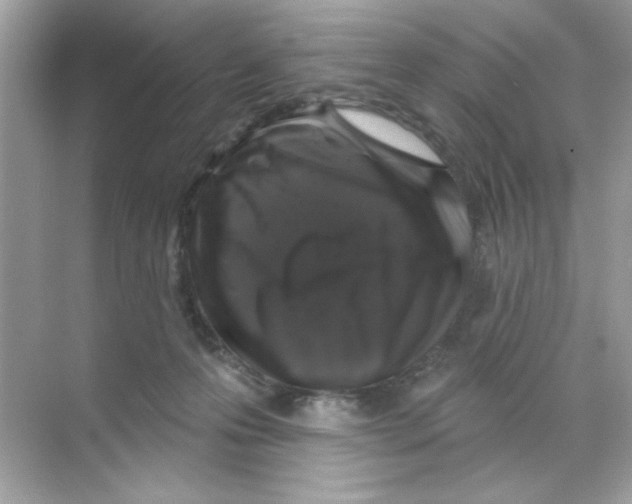 X0000068890223200606021928