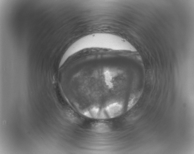 X0000068890224200606021928