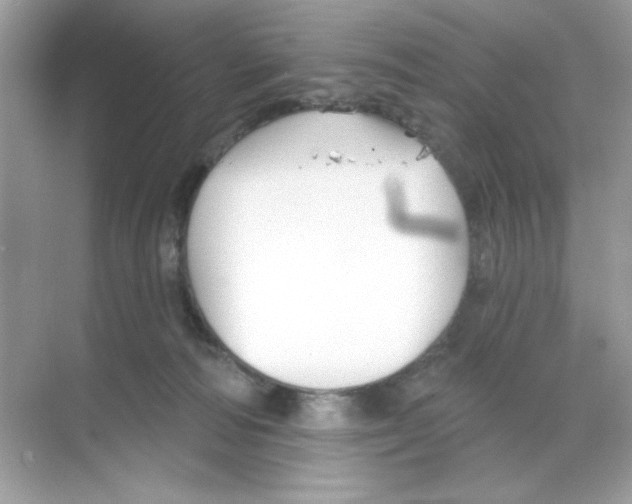 X0000068890226200606021928