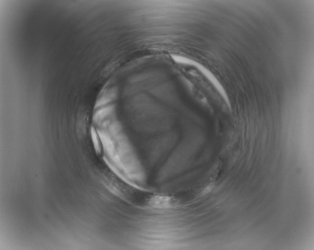 X0000068890227200606021928