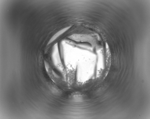 X0000068890228200606021928