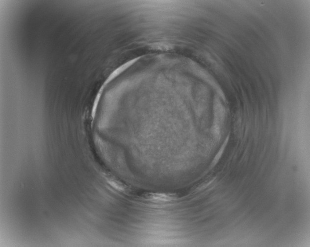 X0000068890229200606021927