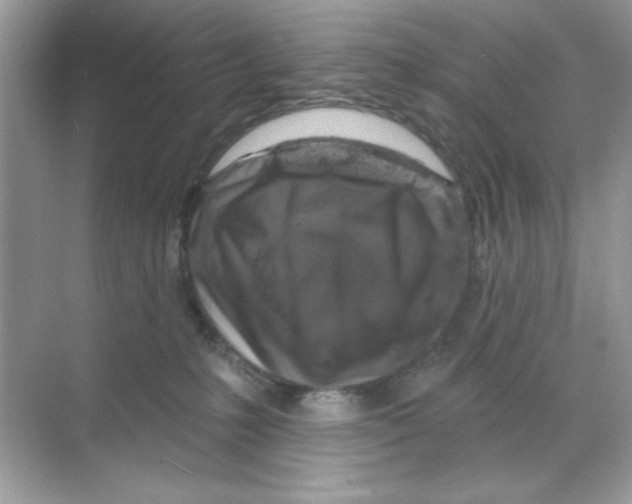 X0000068890231200606021927