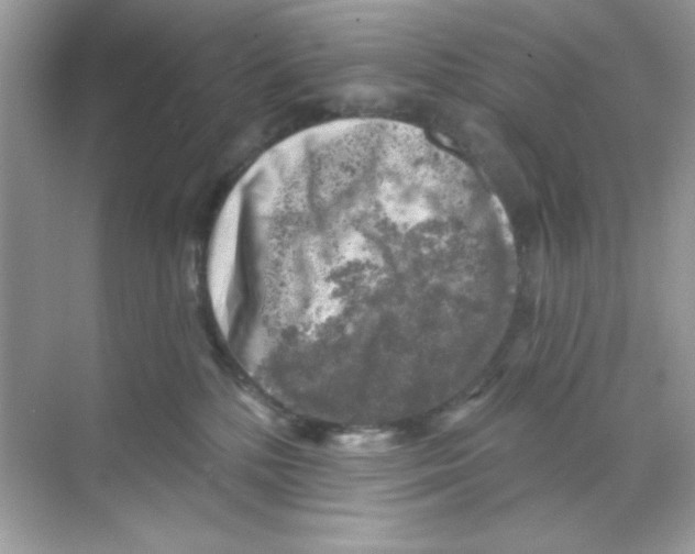 X0000068890232200606021927