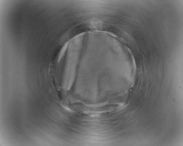 X0000068890233200606021927