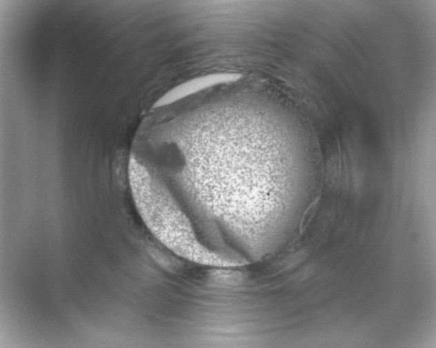 X0000068890234200606021927